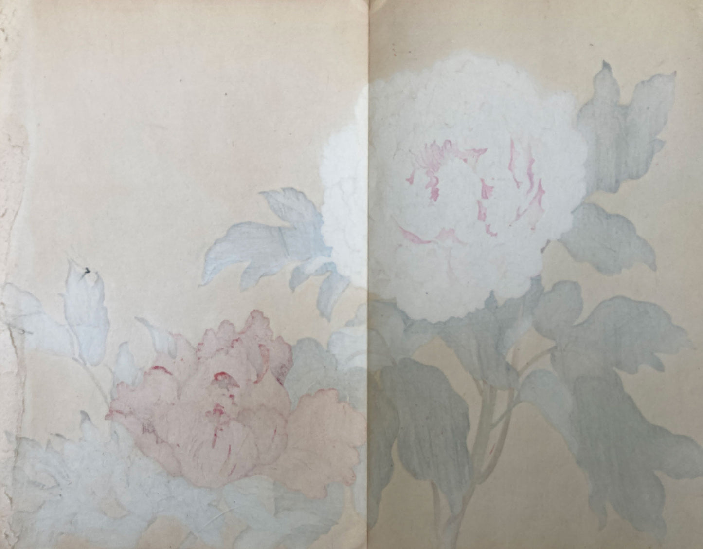 Konan - The Peony Series from the Imperial Exhibition