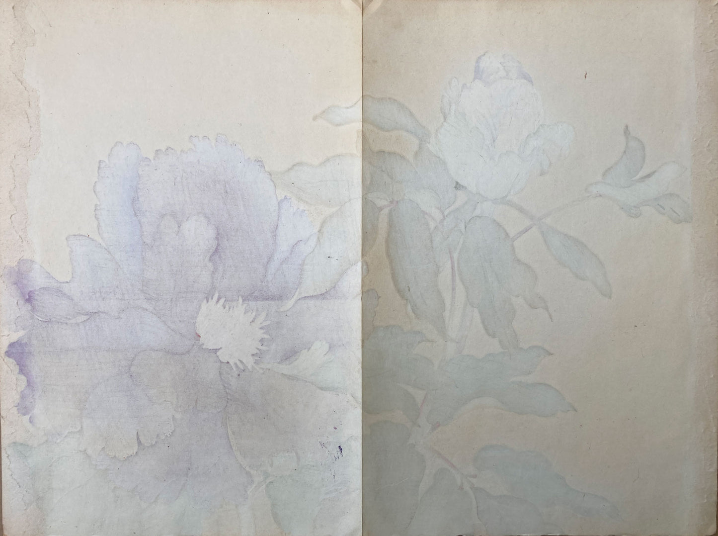 Konan - The Peony Series from the Imperial Exhibition
