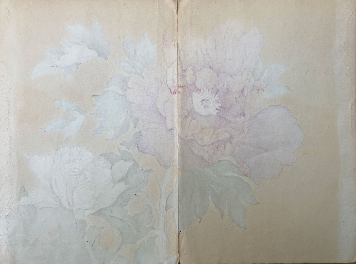 Konan - The Peony Series from the Imperial Exhibition