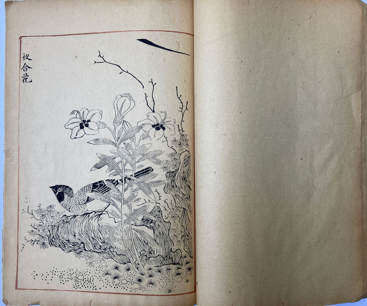 Kohochi - Flowers and Poetry Book