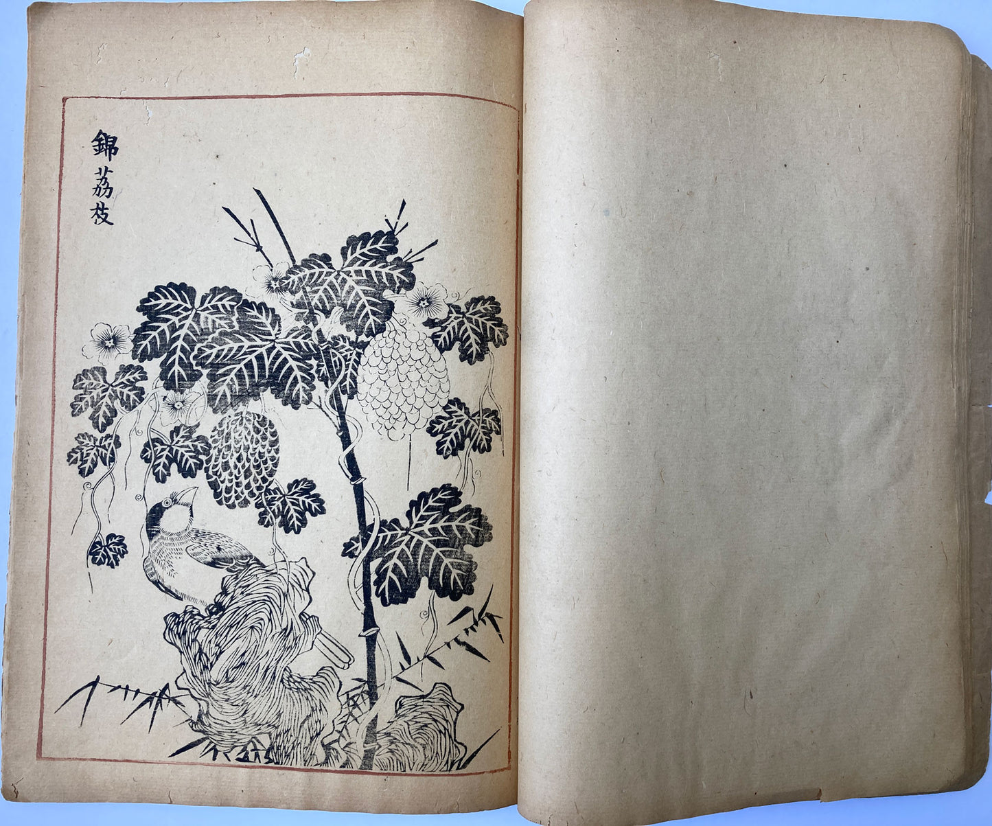 Kohochi - Flowers and Poetry Book