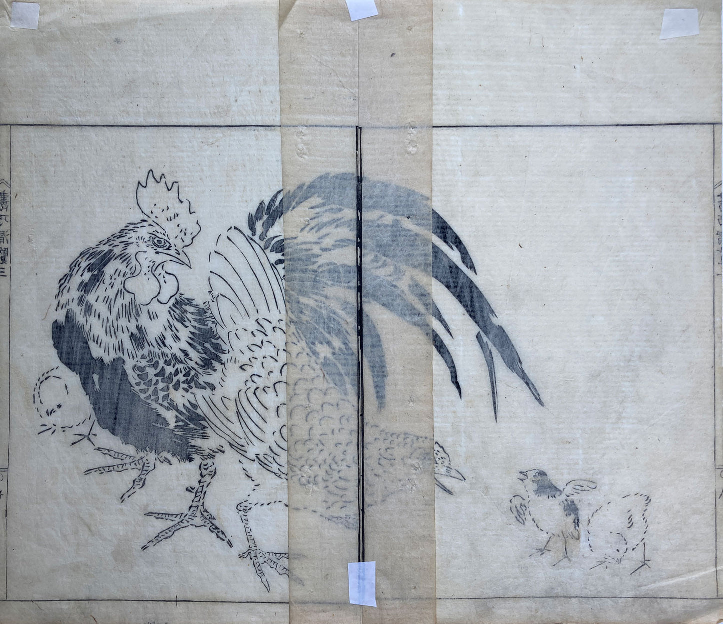 Eihaku - Chickens and Chicks