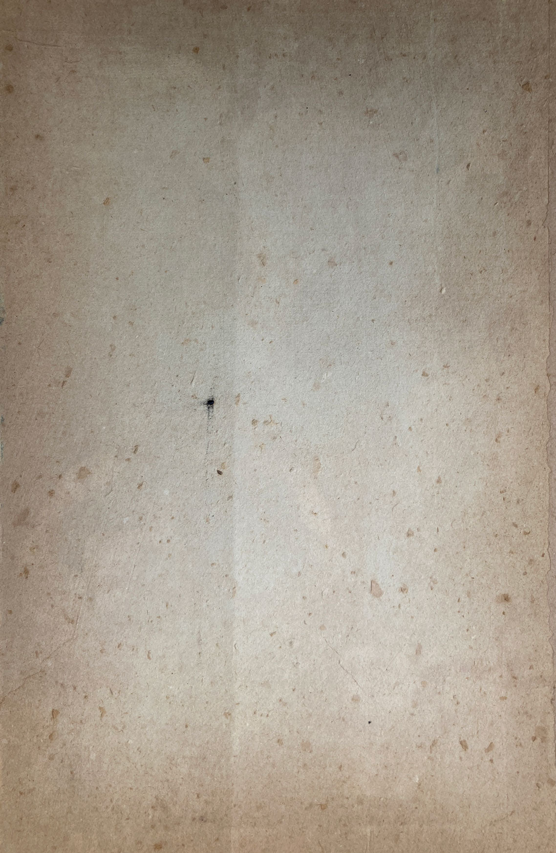 Adachi Ginko - Lady Warrior in the Rain