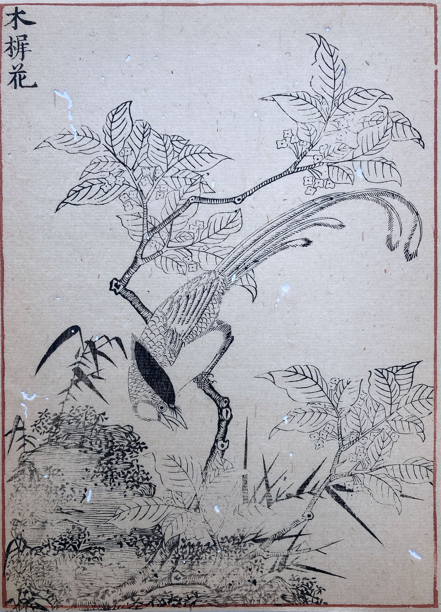 Woodblock Prints Grouping