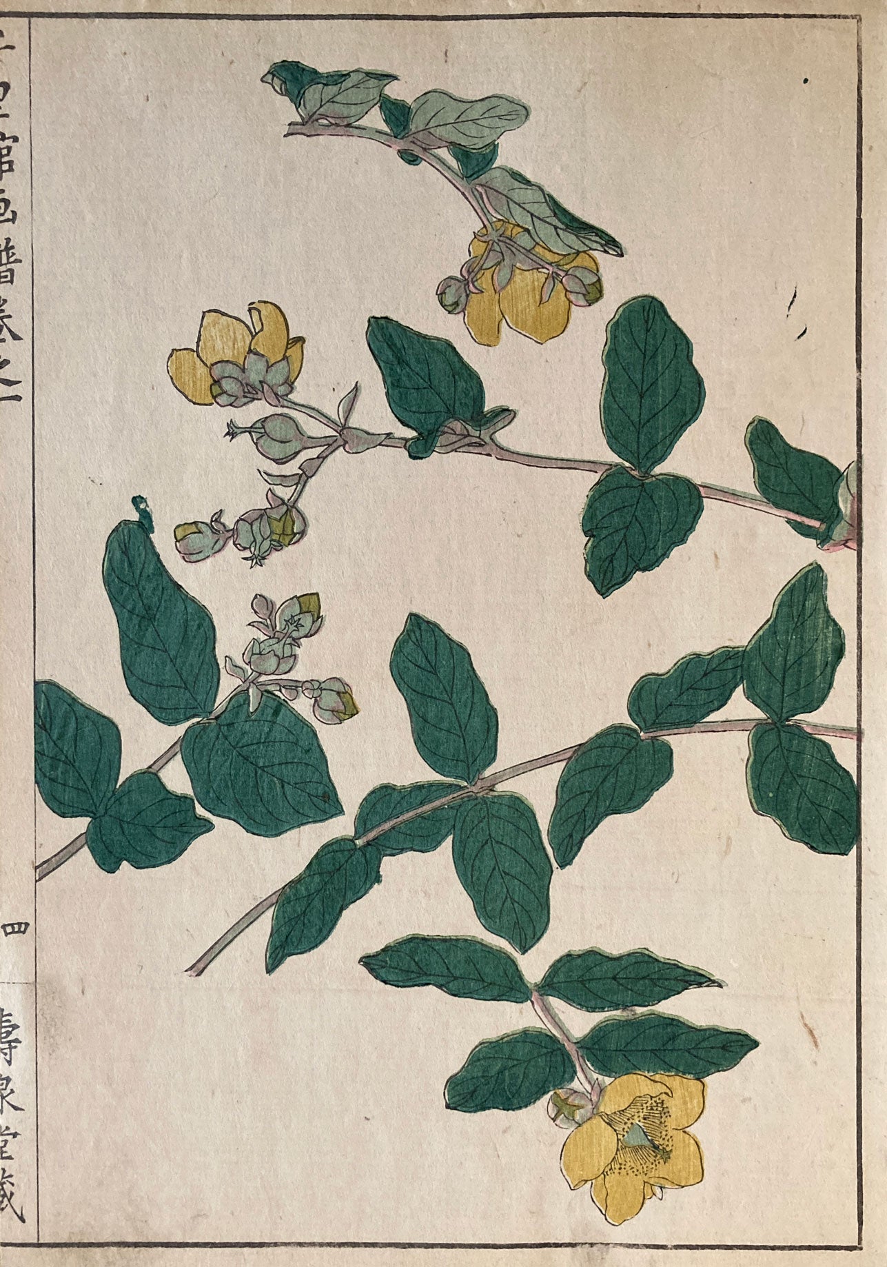 Woodblock Prints Grouping