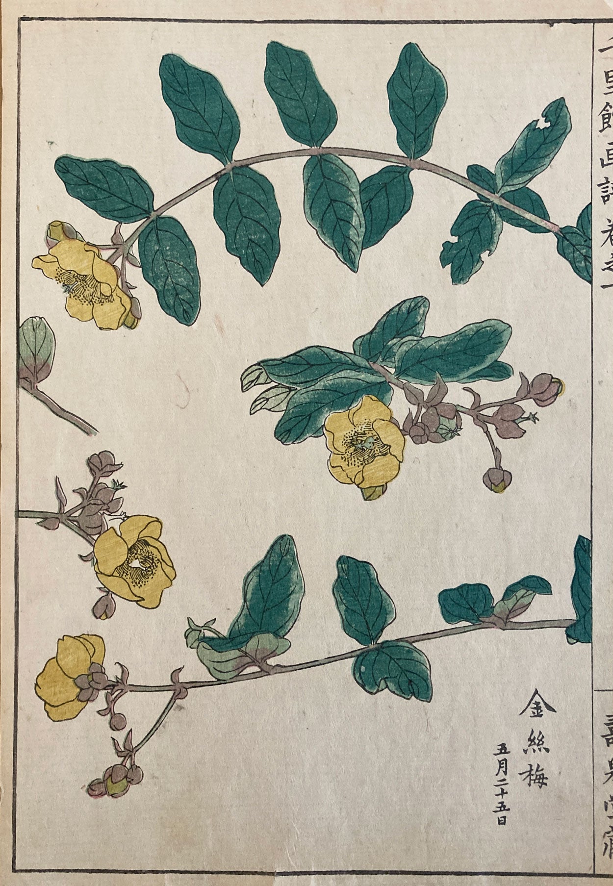 Woodblock Prints Grouping