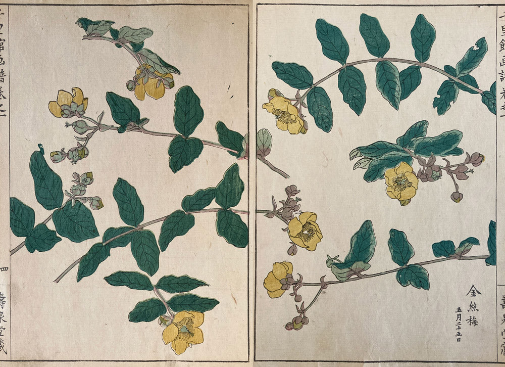Woodblock Prints Grouping