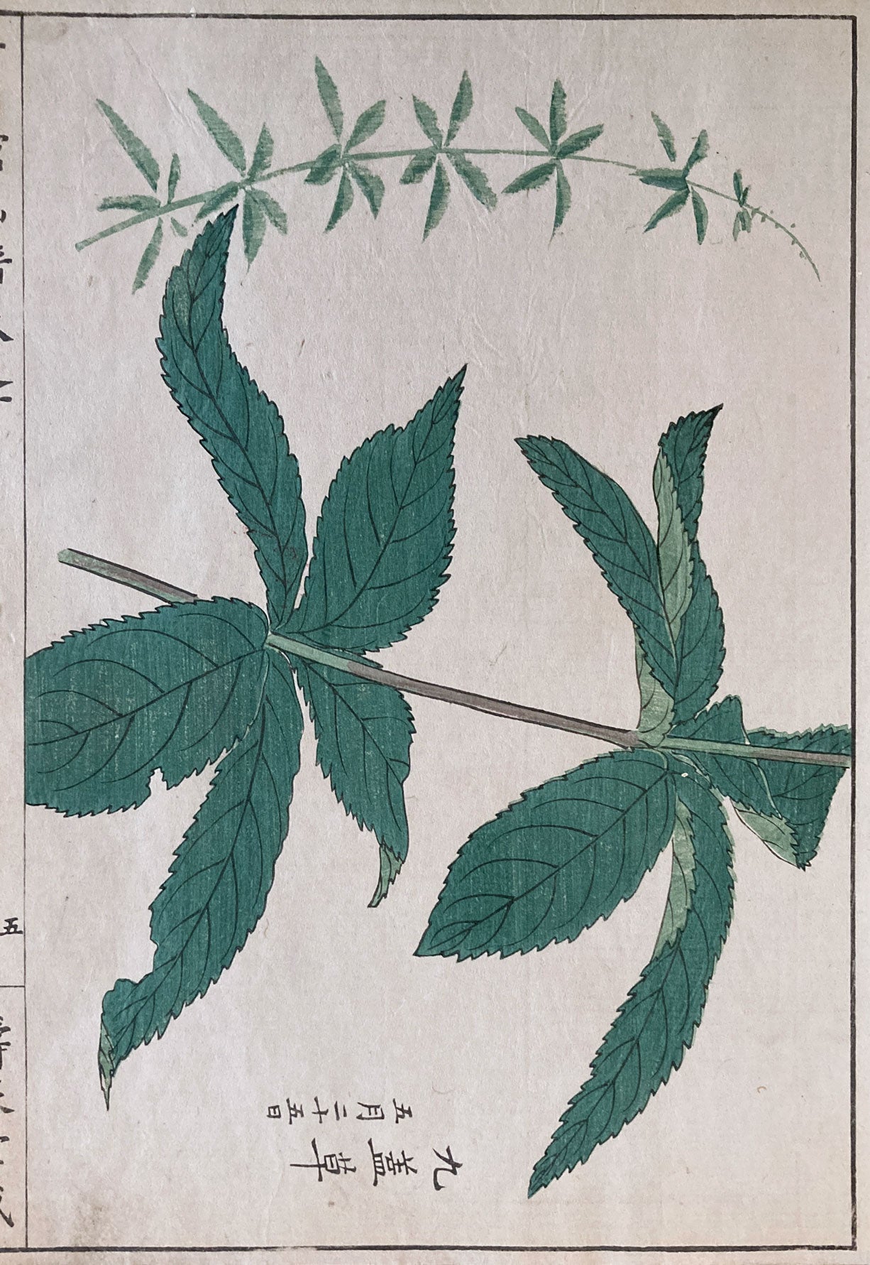 Woodblock Prints Grouping