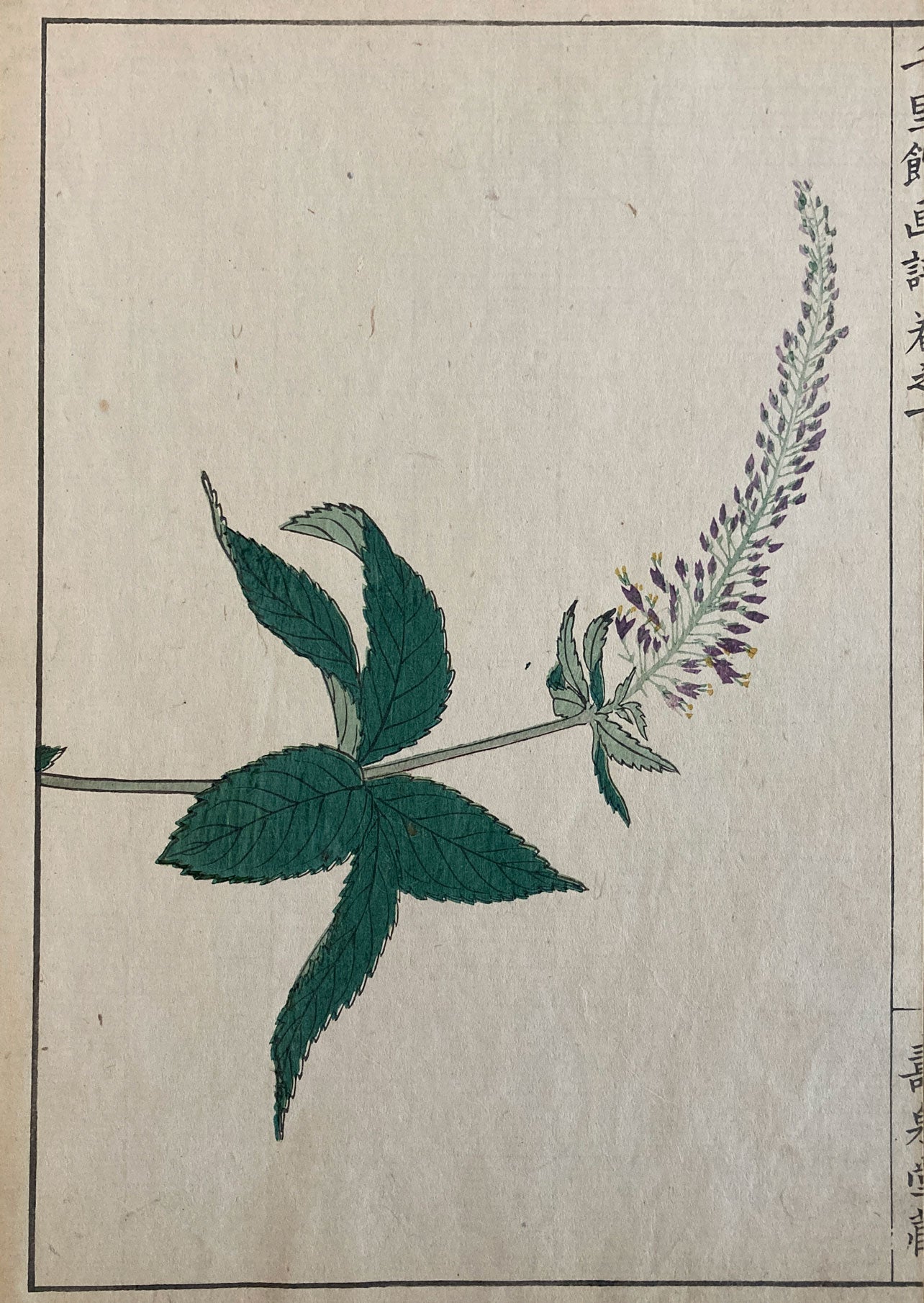 Woodblock Prints Grouping