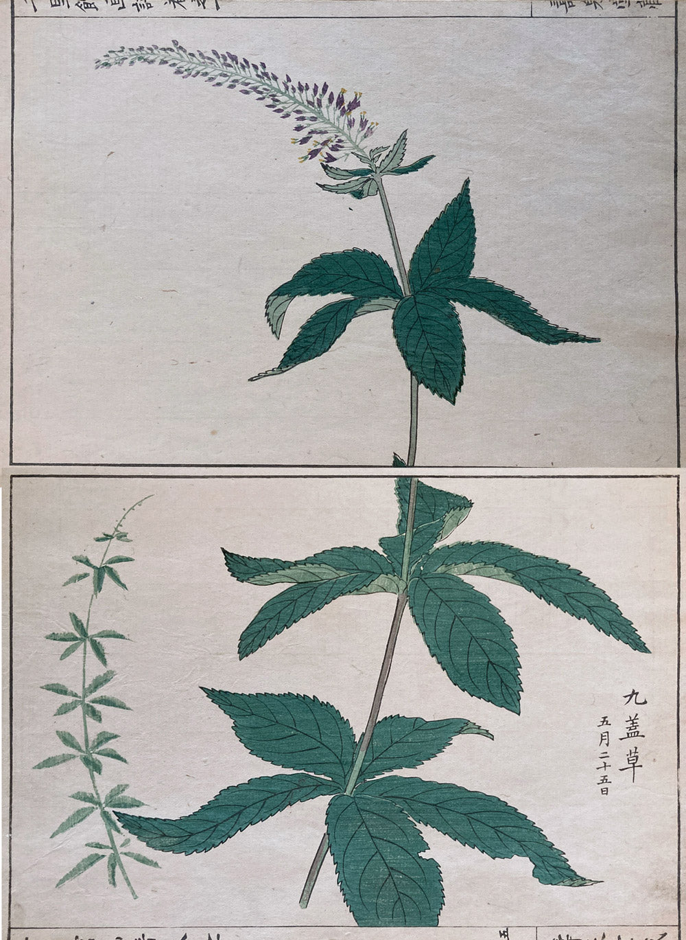 Woodblock Prints Grouping