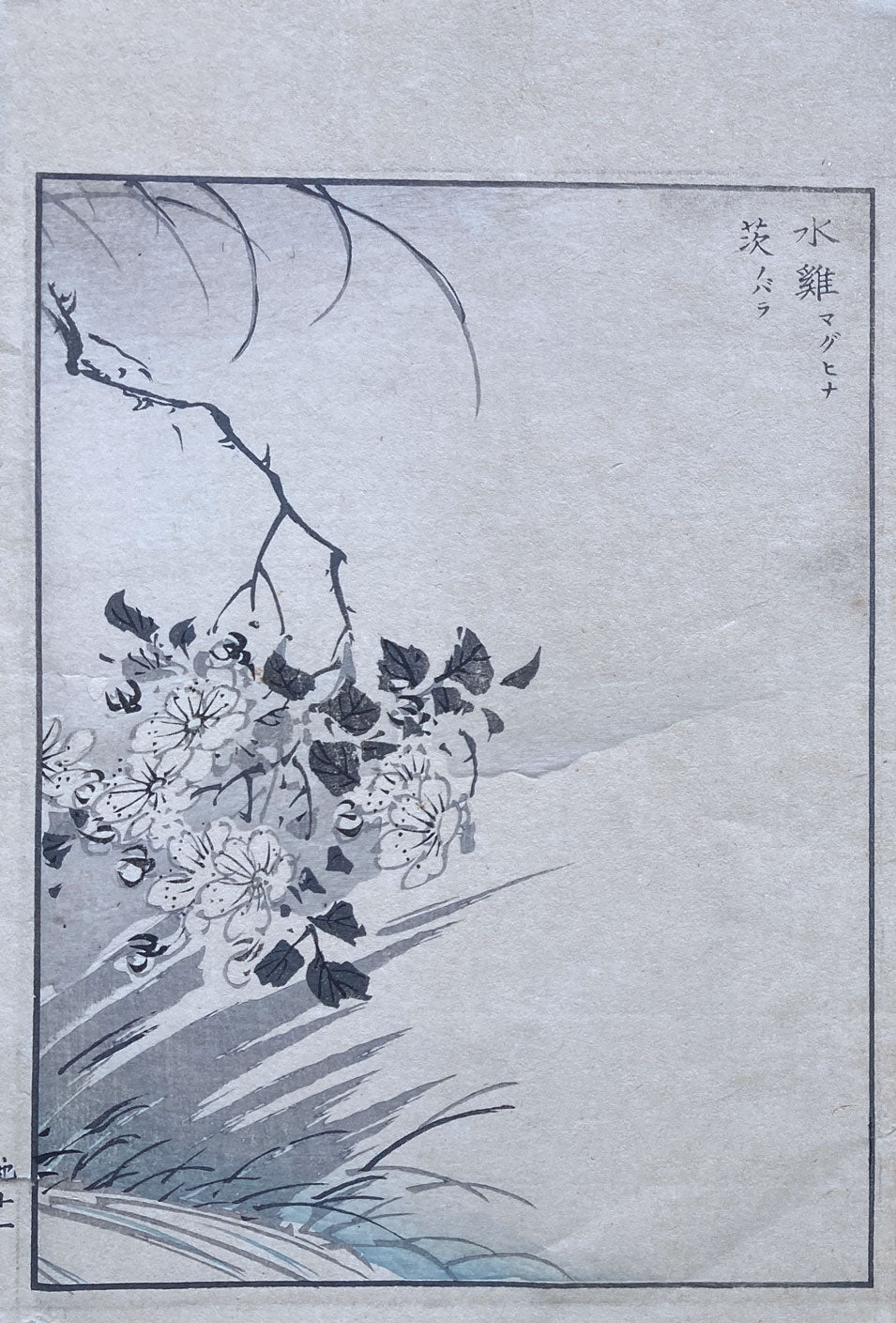 Woodblock Prints Grouping