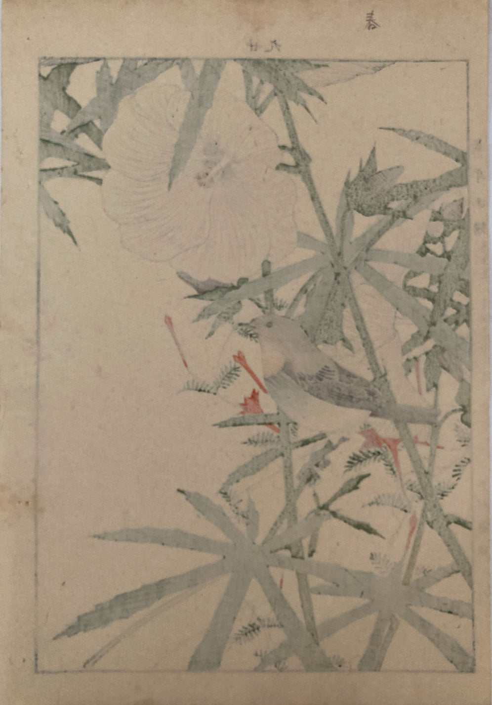 mg0002-1-imao-keinen-keinan-kacho-gafu-japanese-woodblock-print
