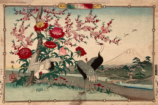 Rinsai - Newly Selected Birds and Flowers