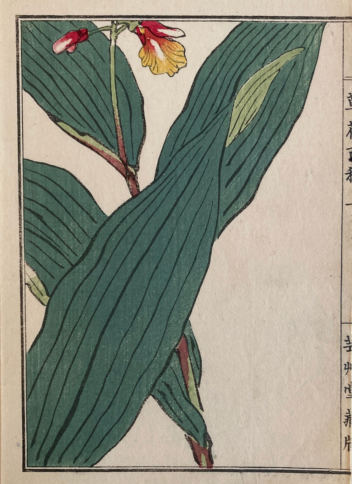 Woodblock Print Grouping