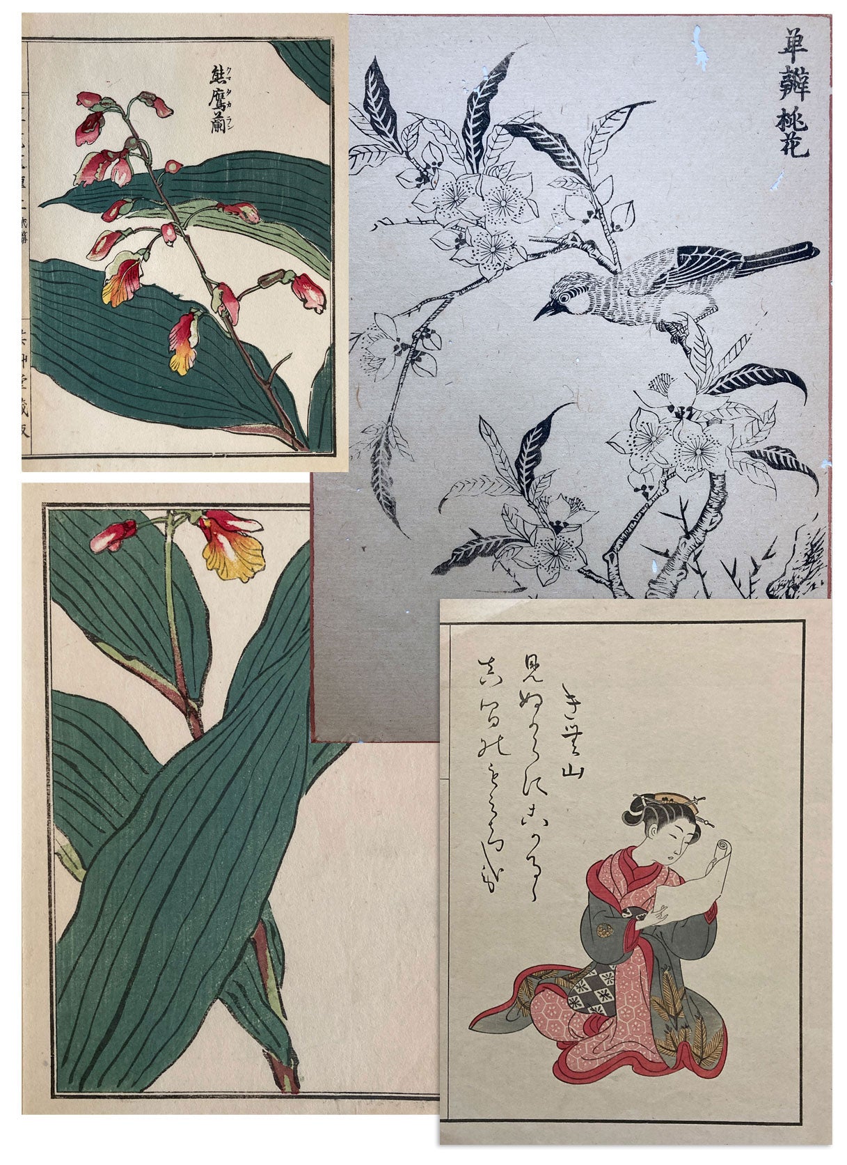 Woodblock Print Grouping