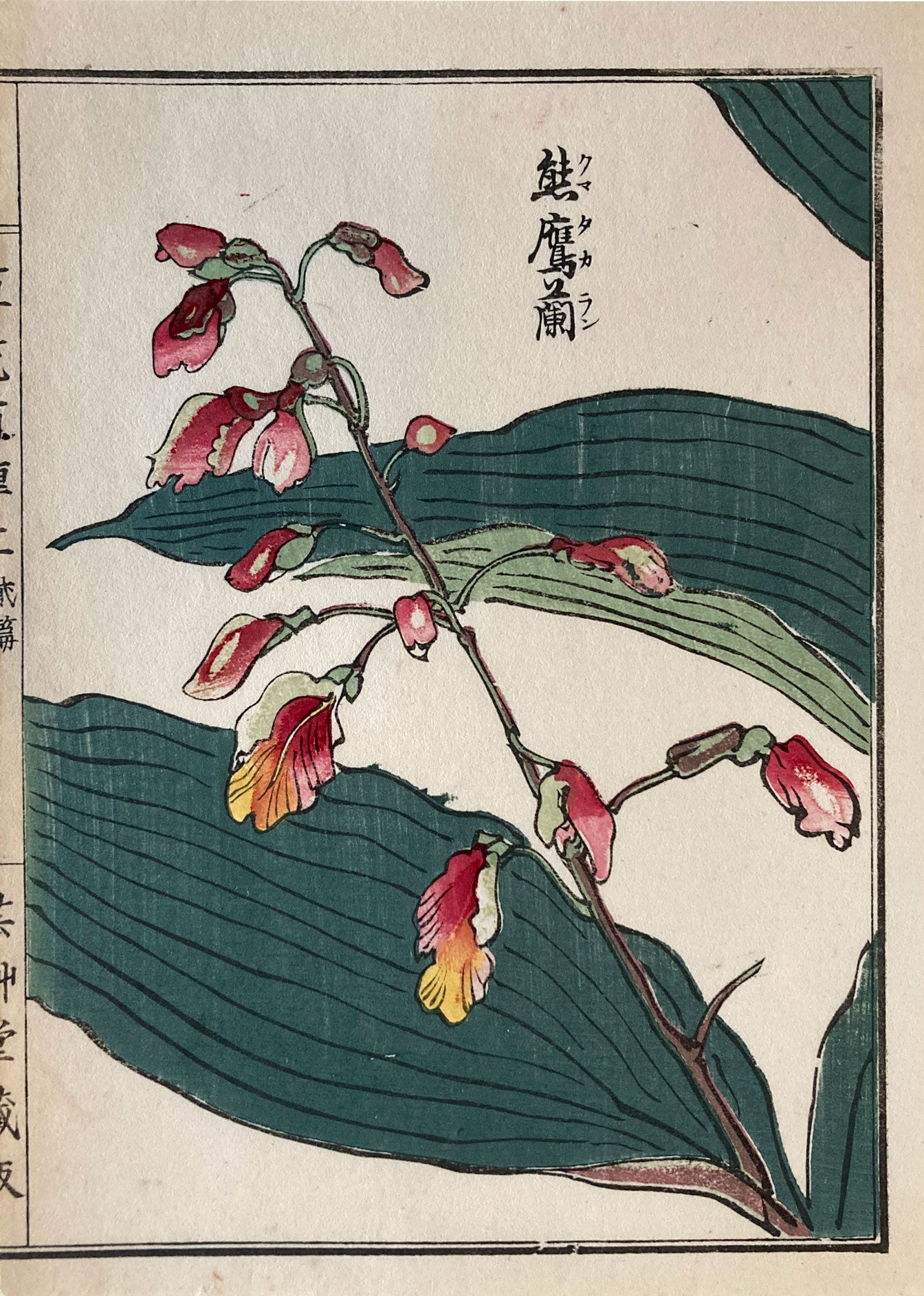 Woodblock Print Grouping