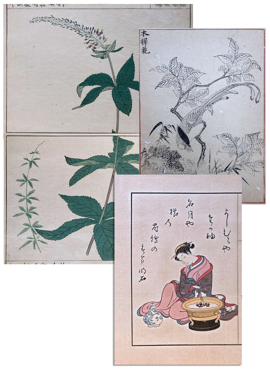 Woodblock Prints Grouping