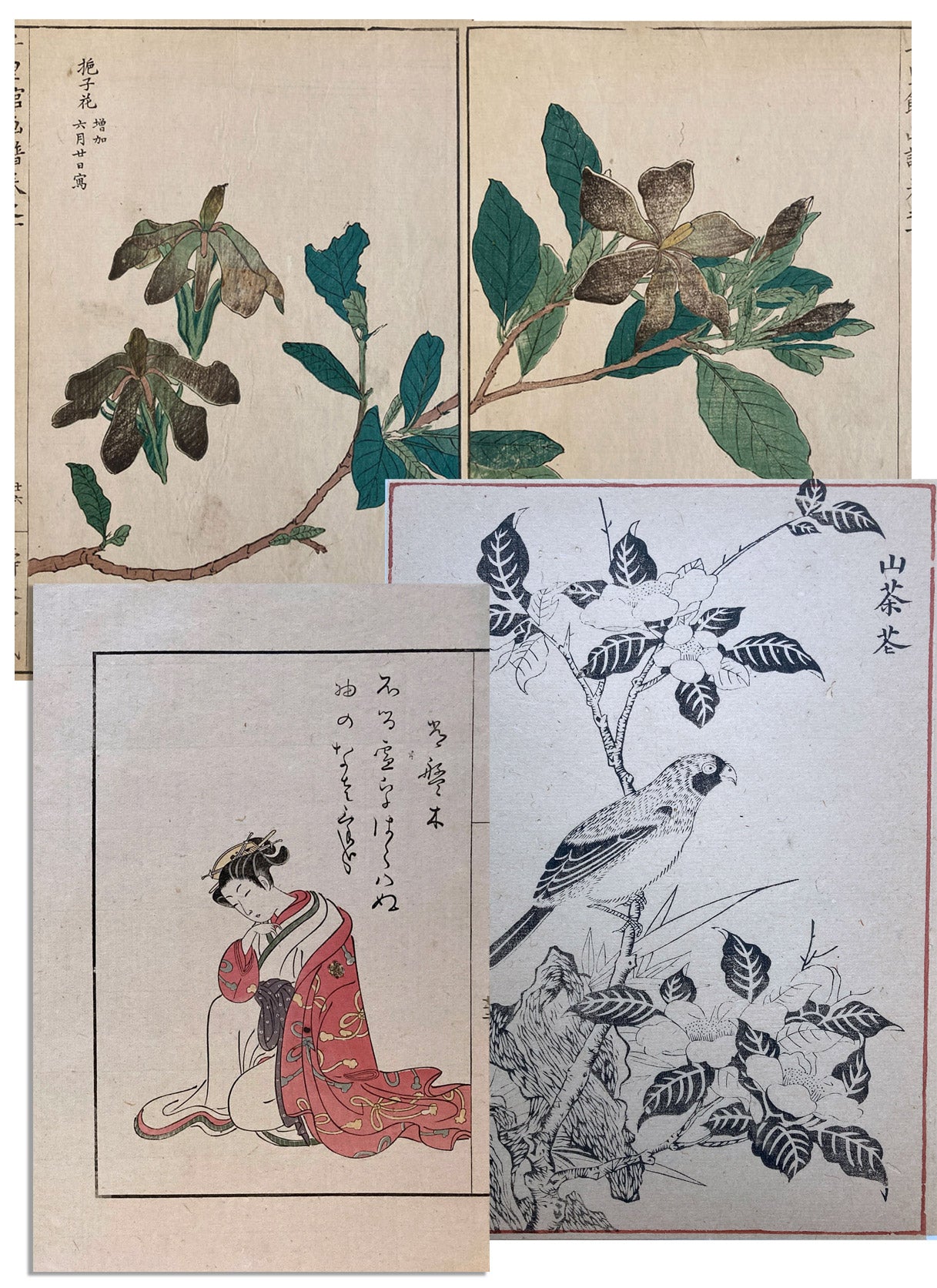 Woodblock Prints Grouping