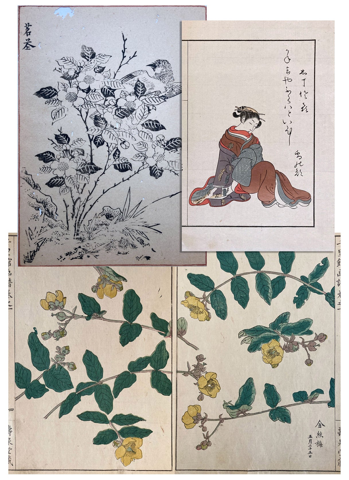 Woodblock Prints Grouping