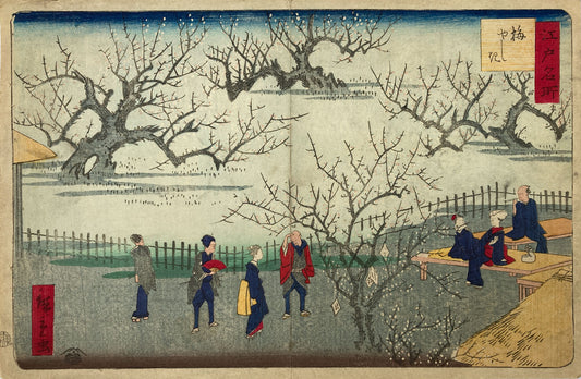 Hiroshige II - Famous Places of Edo