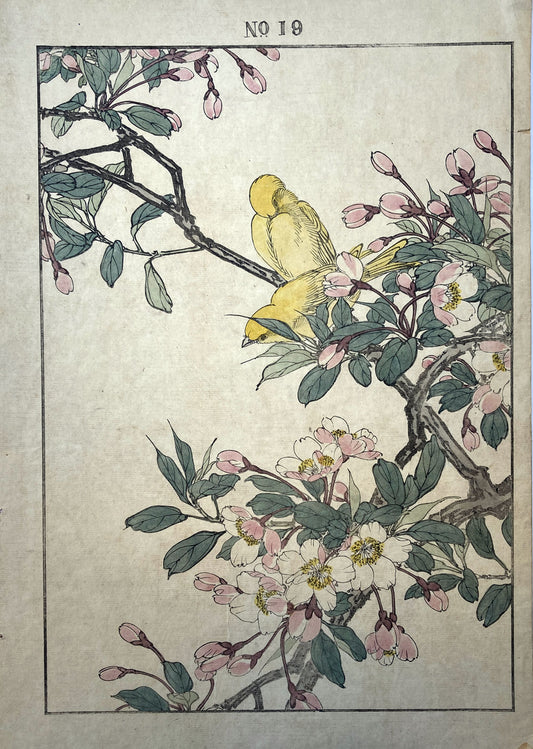 Imao Keinen - Canary on a Blooming Branch