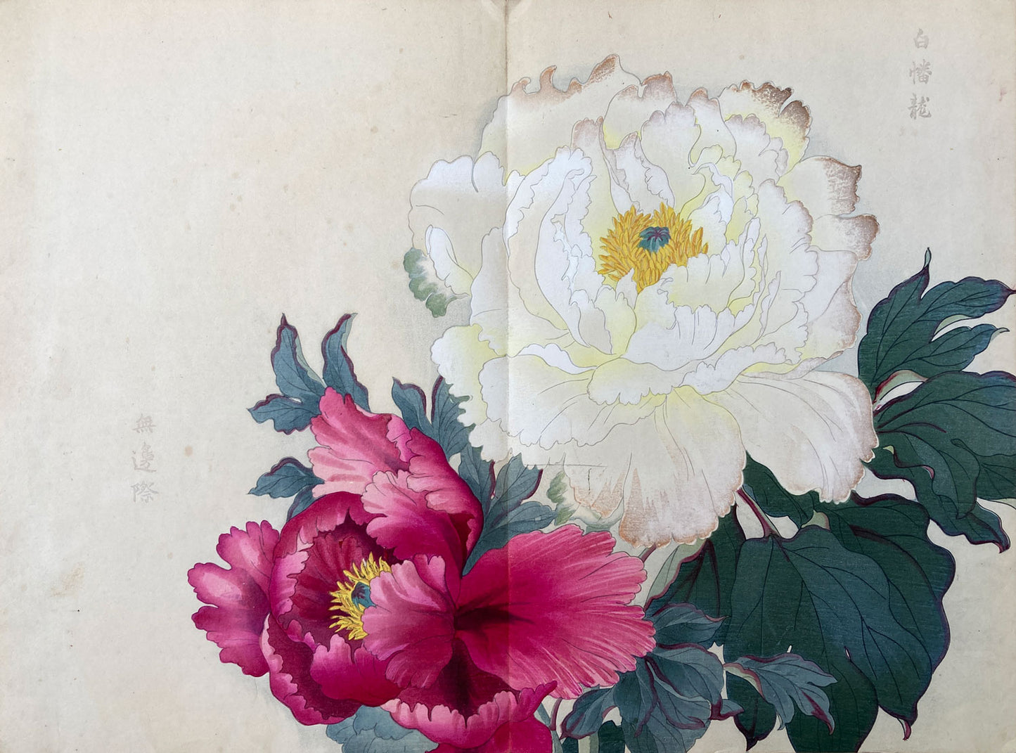 Konan - The Peony Series from the Imperial Exhibition