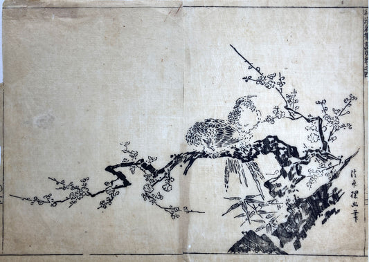 Birds on a Branch
