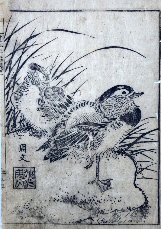 Harutoku - Mallard Ducks