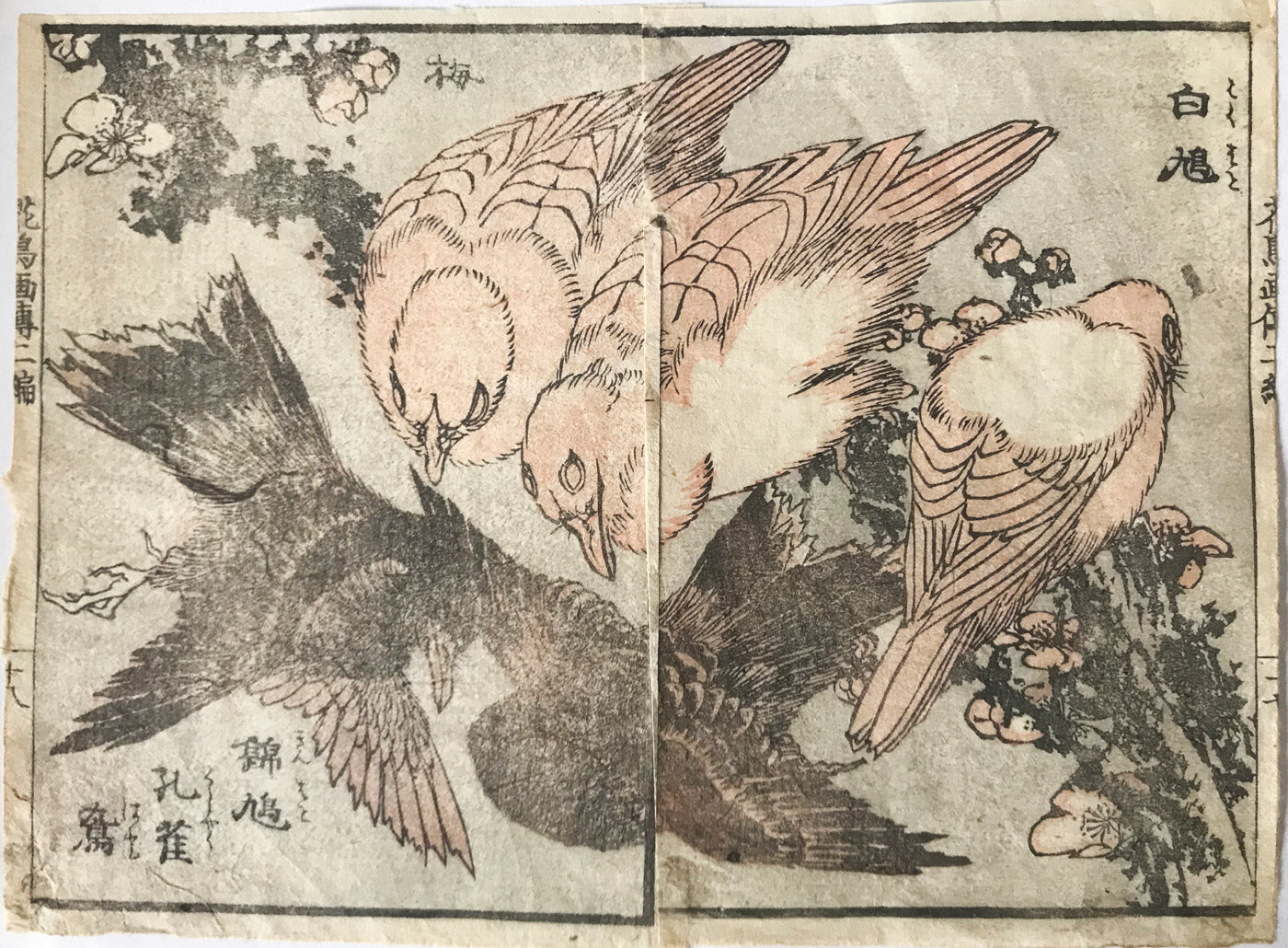 Katsushika Hokusai book