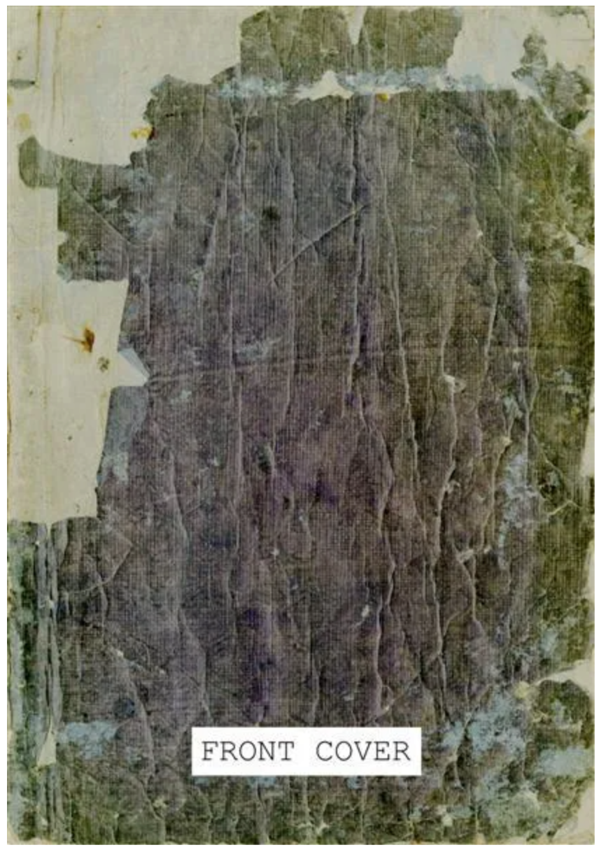 Yoshitoshi - Study for Woodcut #12