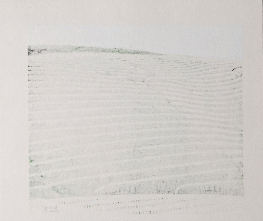 Maeda Koichi - Tea Plantation in Early Summer