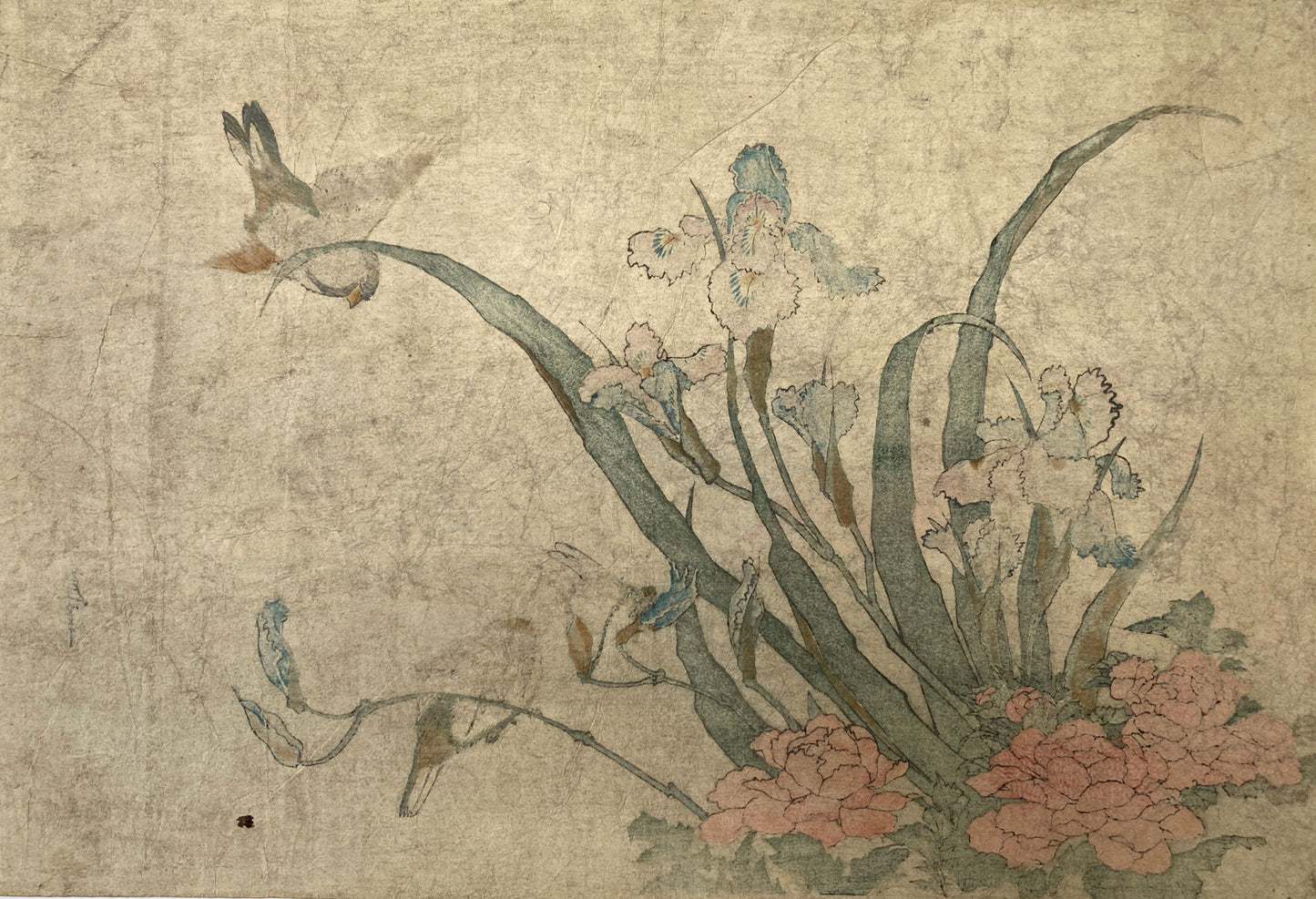 Hokusai - Irises and Peonies with Finches