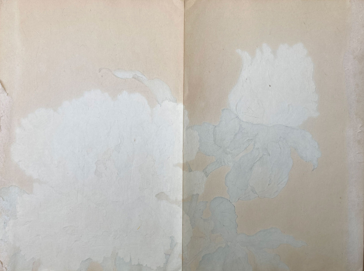 Konan - The Peony Series from the Imperial Exhibition