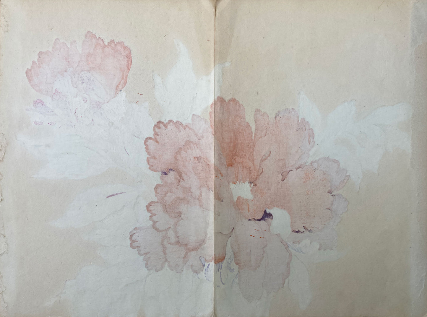 Konan - The Peony Series from the Imperial Exhibition