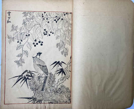 Kohochi - Flowers and Poetry Book