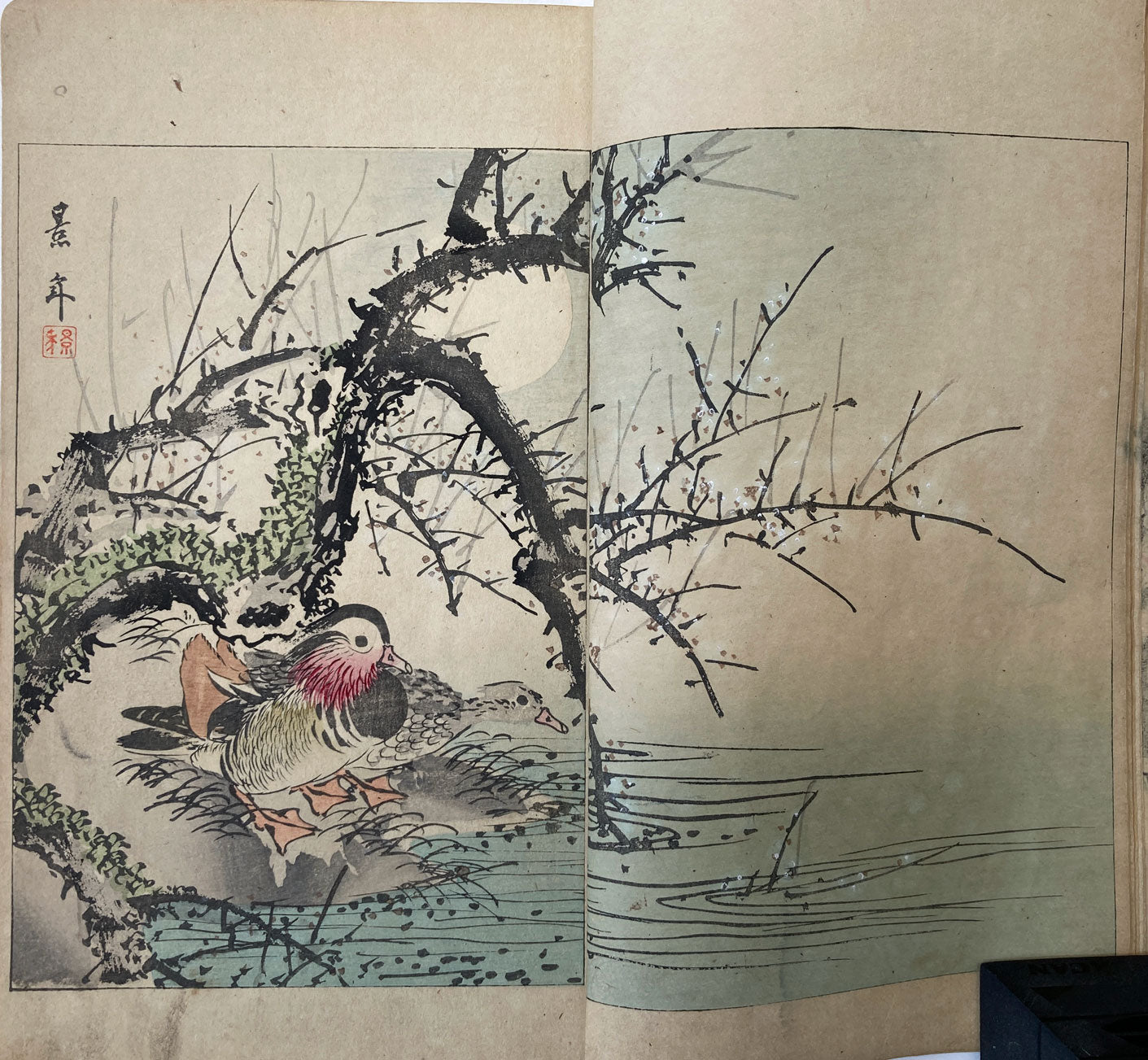 Seitei - The World of Art