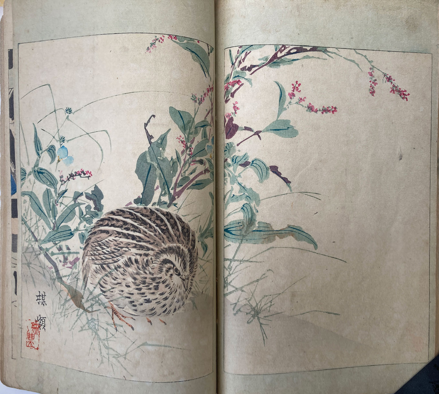 Seitei - The World of Art