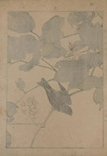 Load image into Gallery viewer, mg0006-1-imao-keinen-keinan-kacho-gafu-japanese-woodblock-print 