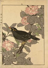 Load image into Gallery viewer, mg0007-imao-keinen-keinan-kacho-gafu-japanese-woodblock-print