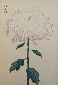 mg0032-keika-hasegawa-one-hundred-chrysanthemums-japanese-woodblock-print