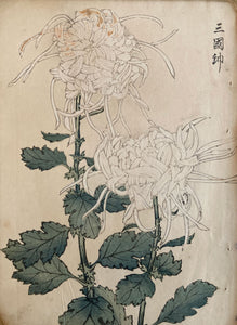 mg0036-keika-hasegawa-one-hundred-chrysanthemums-japanese-woodblock-print
