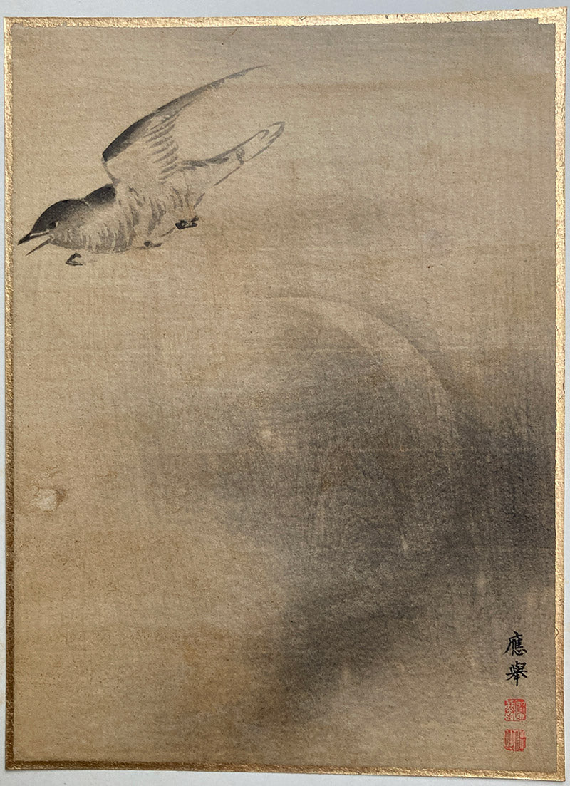 Maruyama - The Magpie in Flight