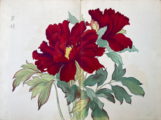 Konan - The Peony Series from the Imperial Exhibition
