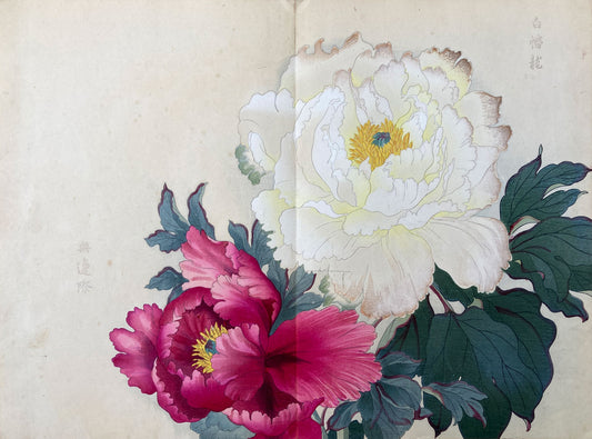 Konan - The Peony Series from the Imperial Exhibition