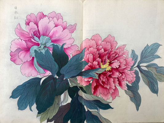 Konan - The Peony Series from the Imperial Exhibition