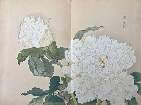 Konan - The Peony Series from the Imperial Exhibition