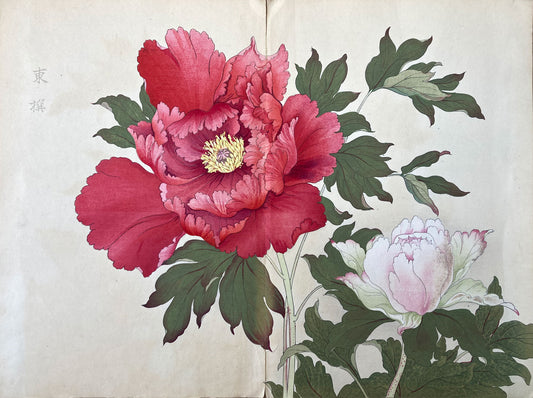 Konan - The Peony Series from the Imperial Exhibition