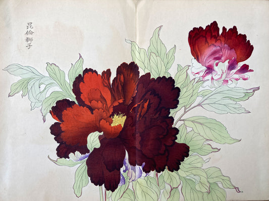 Konan - The Peony Series from the Imperial Exhibition