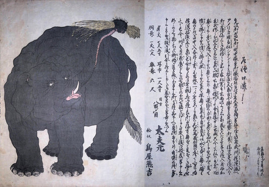 Yoshitoyo - Great Elephant