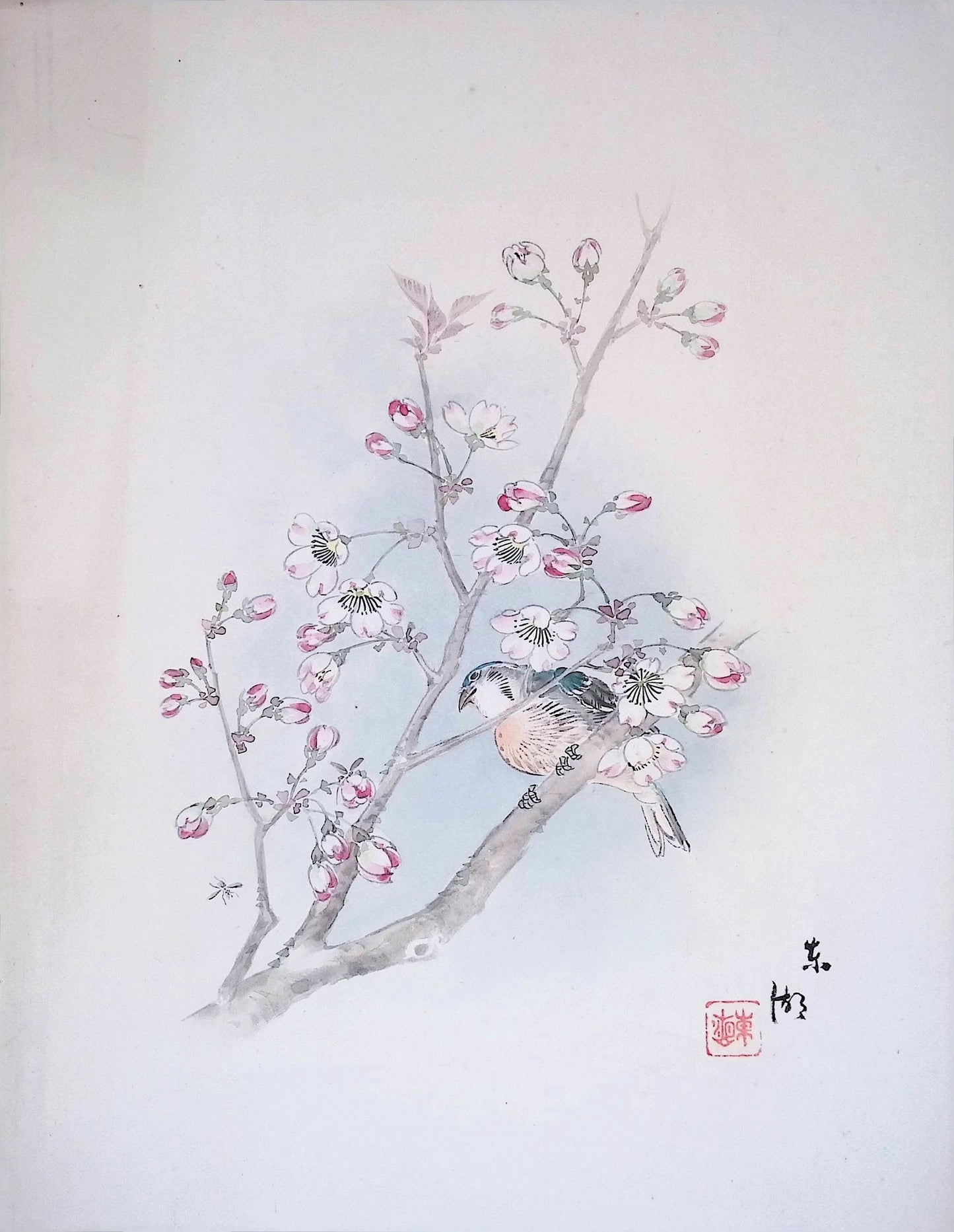 Bird Among Cherry Blossoms - Original Ink Painting